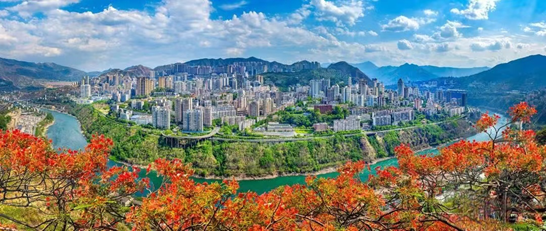 优德88官网网站