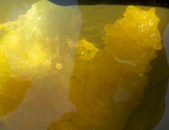 优德88官网网站