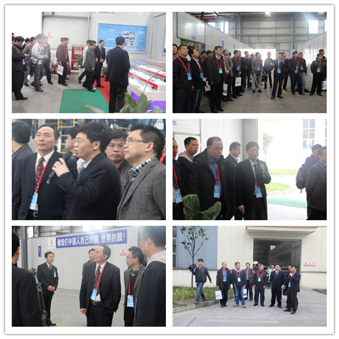 优德88官网网站